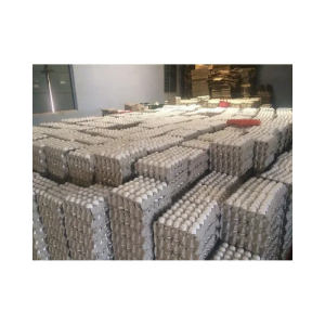 Chicken Broiler Hatching Table Eggs