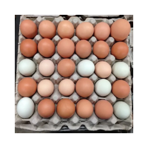 Brown Table Chicken Egg | Cobb 500