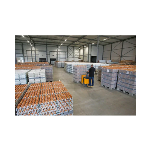 Chicken Broiler Hatching/Table Eggs | Cobb 500/Ross 308