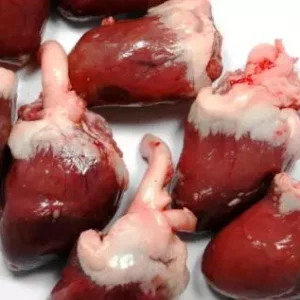 Buy Frozen Turkey Heart Online – Wholesale Poultry Supplier