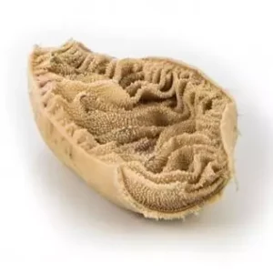 Buy Frozen Beef Omasum Wholesale | Halal Certified