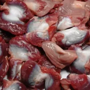 Buy Frozen Chicken Gizzards | Halal Certified Supplier