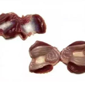 Buy Frozen Hen Gizzard Wholesale | Halal Certified