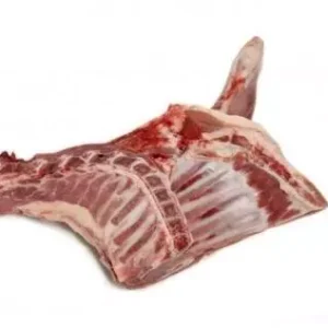 Buy Frozen Lamb Forequarter Wholesale | Halal Certified
