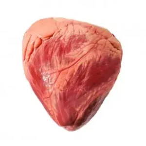 Buy Frozen Beef Heart Wholesale | Halal Certified