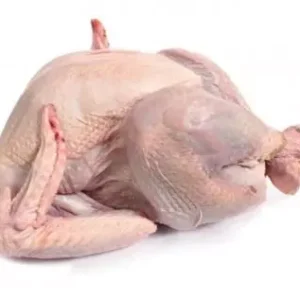 Buy Wholesale Frozen Whole Turkey – Premium Quality Birds